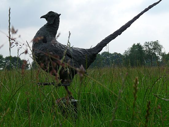 Fiero-trots is een bronzen fazant.| bronzen beelden en tuinbeelden van Jeanette Jansen |